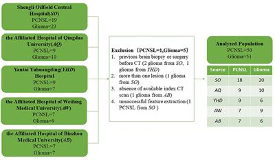 Machine Learning and Deep Learning CT-Based Models for Predicting the Primary Central Nervous System Lymphoma and Glioma Types: A Multicenter Retrospective Study